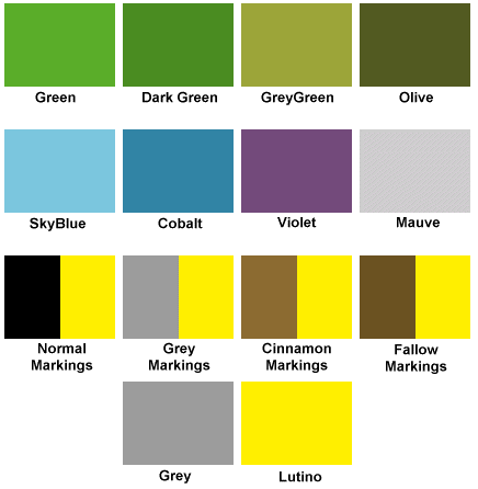 Colour Chart Image