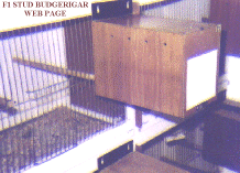 Nest Box 1